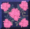 rose-su-jeans-2.jpg (93086 byte)